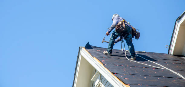 Best Roof Gutter Cleaning  in Homeland, GA